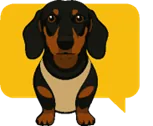 Hiszpański z Jamniczorem Logo